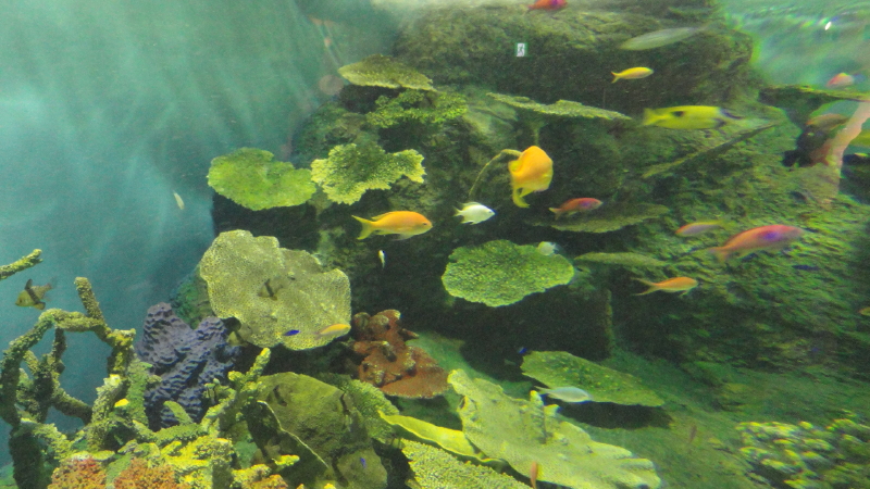 img0022.jpg