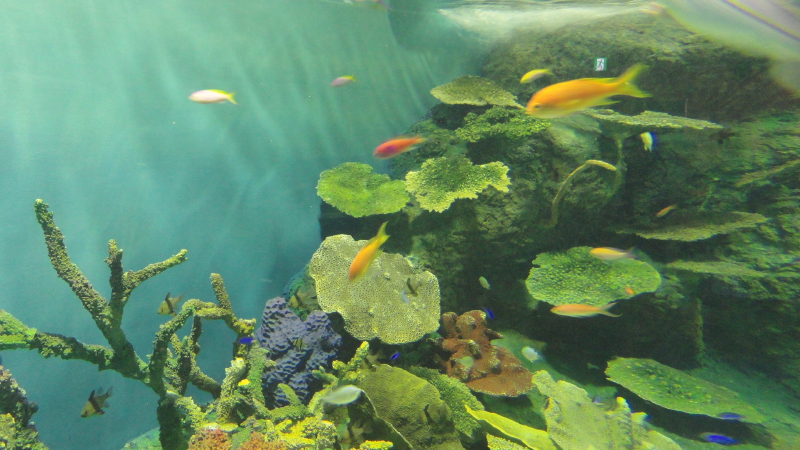 img0023.jpg