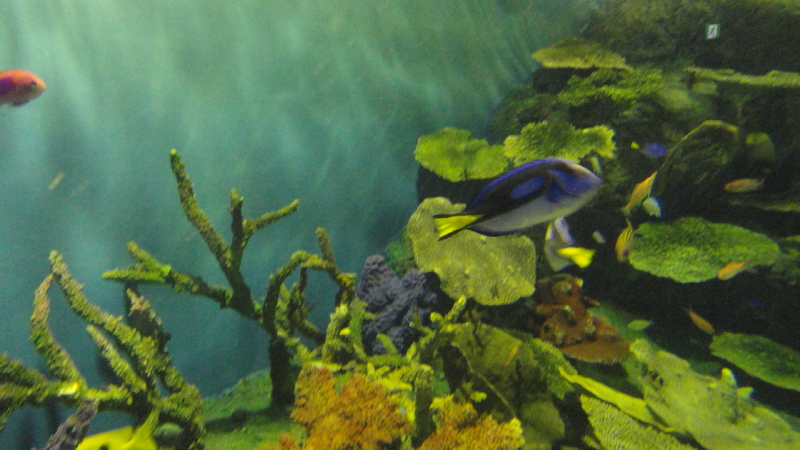 img0026.jpg