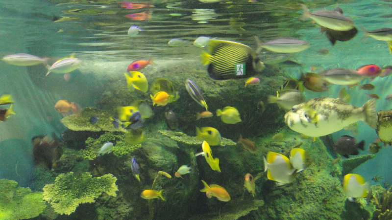 img0027.jpg