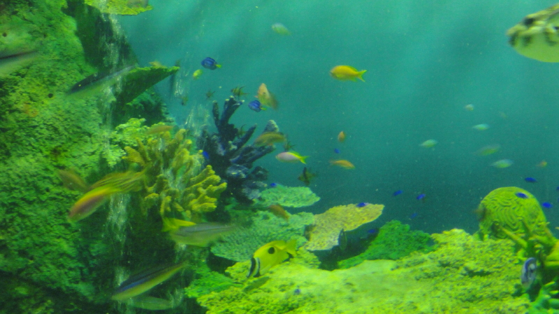 img0029.jpg