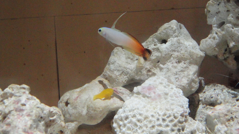 img0033.jpg