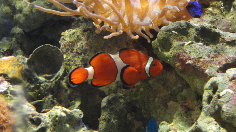 img0035.jpg