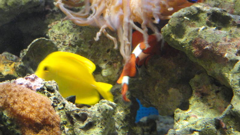 img0036.jpg