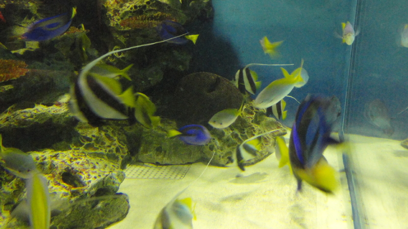 img0037.jpg
