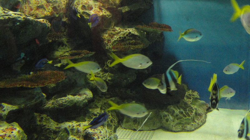 img0038.jpg