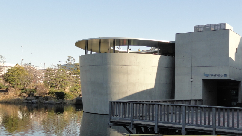 img0045.jpg