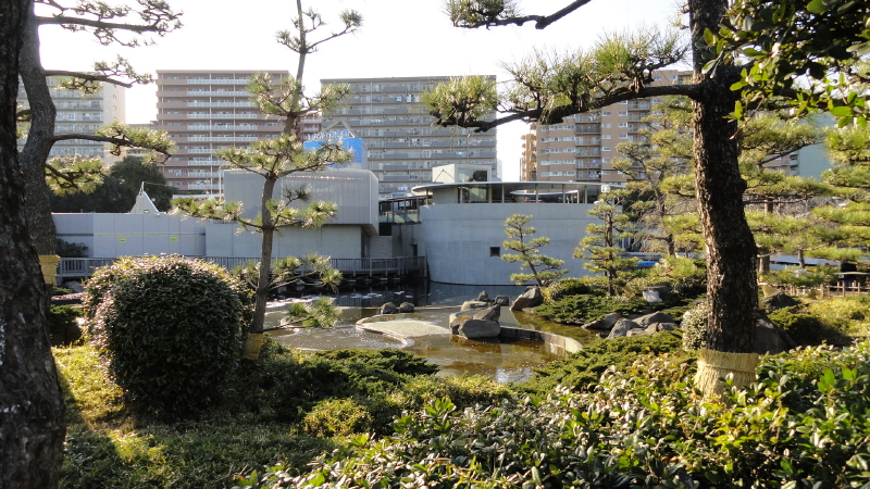 img0046.jpg
