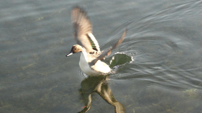 img0048.jpg