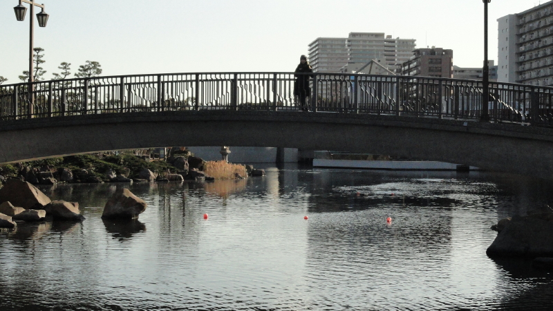 img0049.jpg