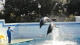 img0004.jpg