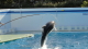 img0007.jpg