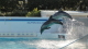 img0009.jpg