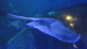 img0015.jpg