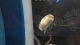 img0019.jpg