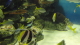 img0039.jpg