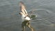 img0048.jpg
