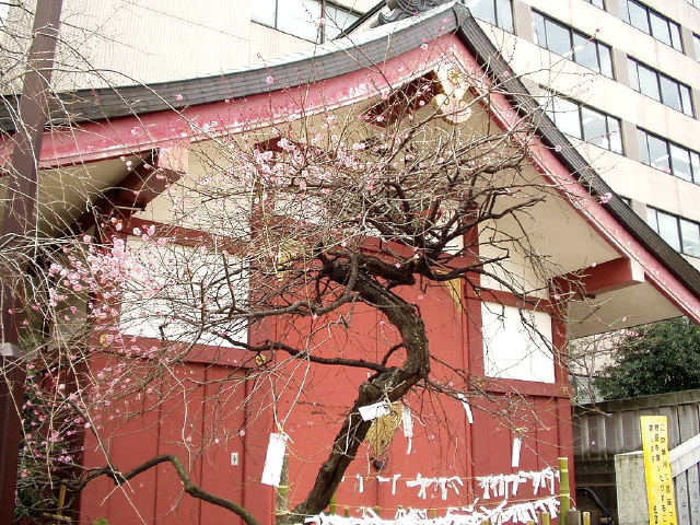 img0022.jpg