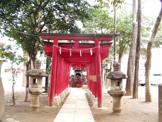 img0024.jpg
