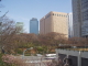 img0006.jpg