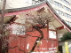 img0022.jpg