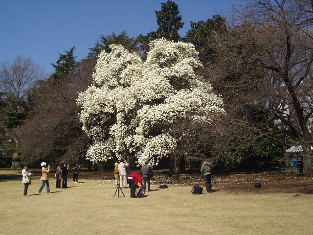img0000.jpg