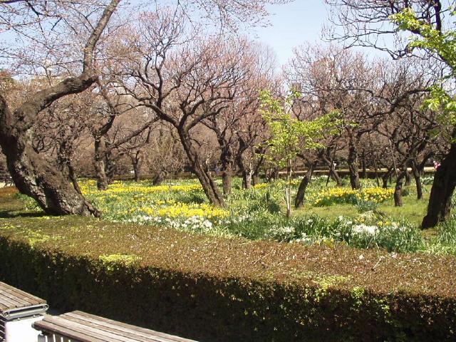 img0001.jpg