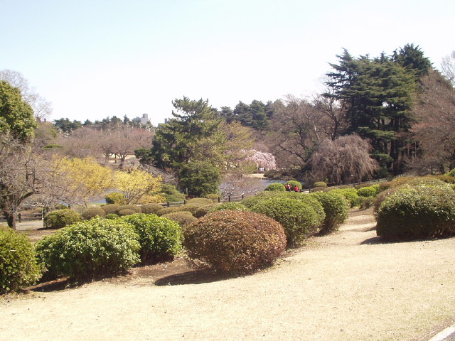img0003.jpg
