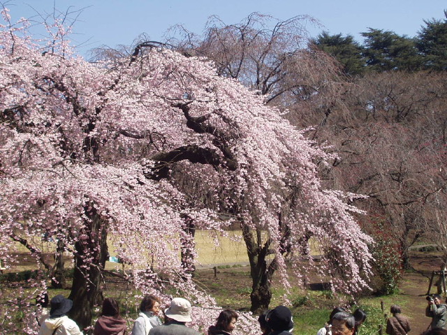 img0005.jpg