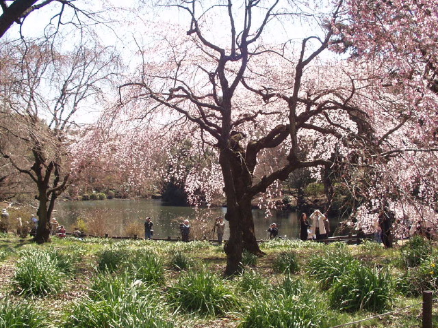 img0006.jpg