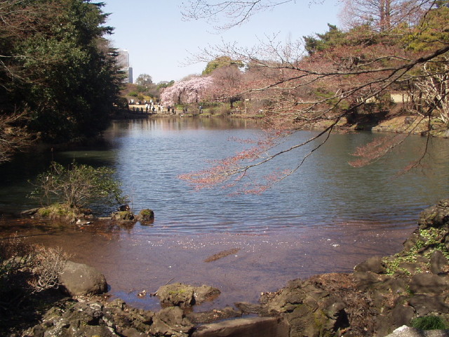 img0007.jpg