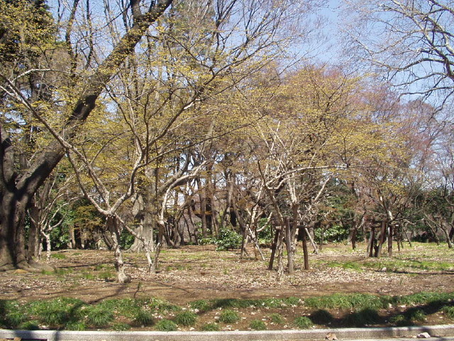 img0008.jpg
