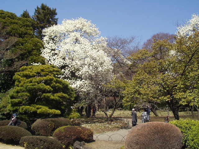 img0011.jpg