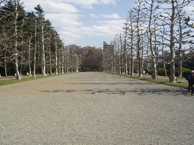 img0013.jpg