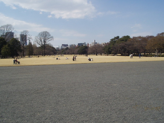 img0015.jpg
