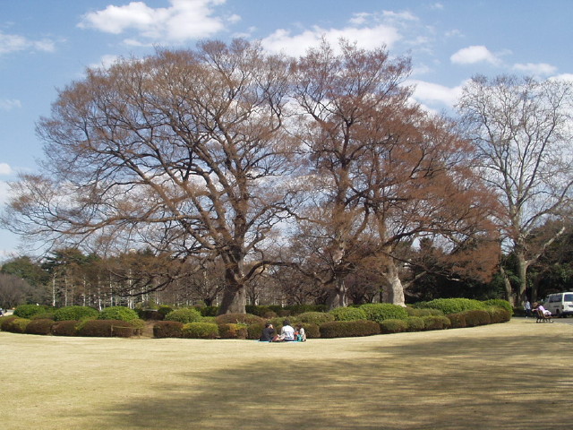 img0016.jpg