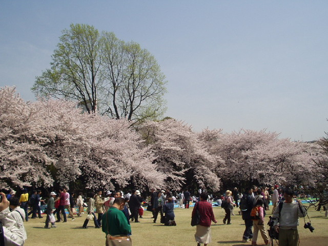 img0017.jpg