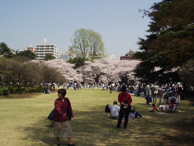 img0019.jpg