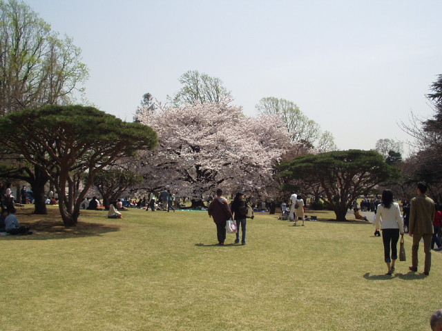 img0020.jpg