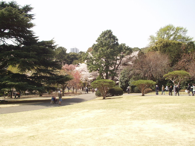 img0021.jpg