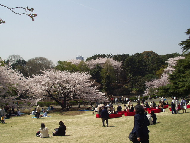 img0023.jpg