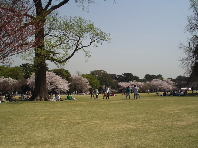 img0025.jpg
