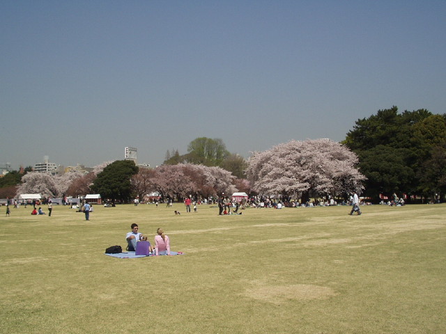 img0026.jpg
