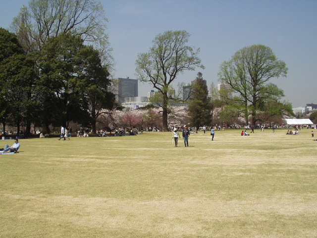 img0027.jpg