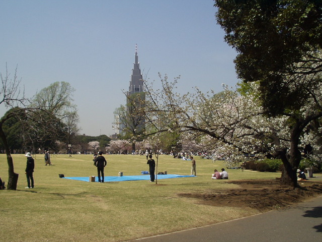 img0028.jpg