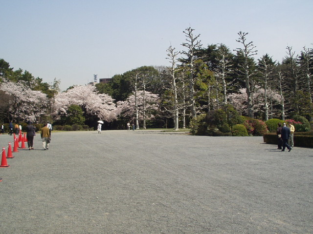 img0032.jpg