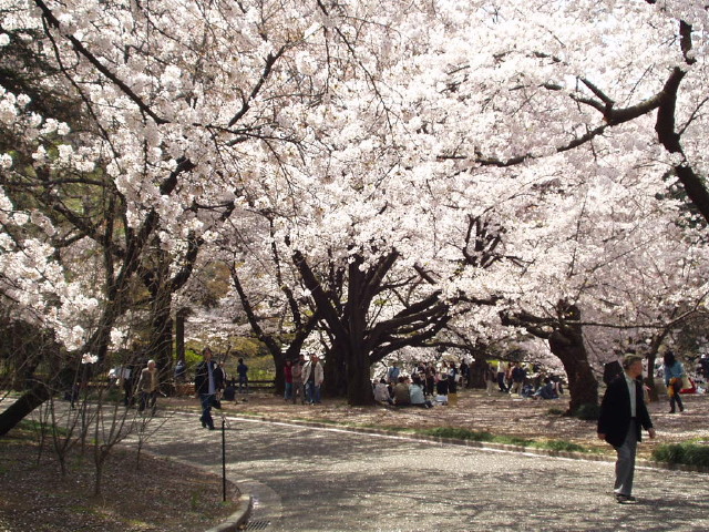 img0035.jpg