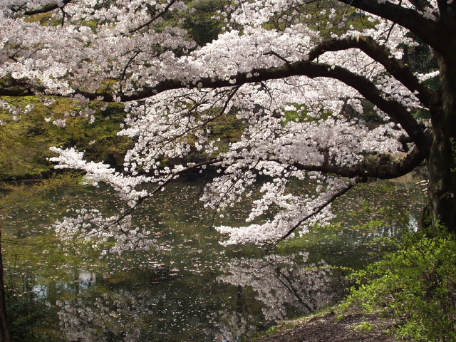 img0036.jpg