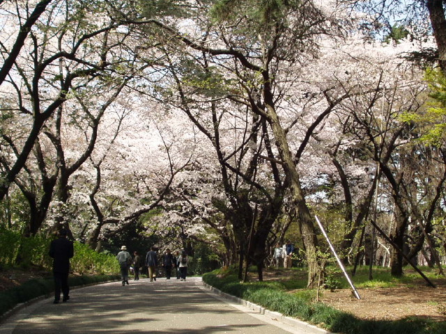 img0038.jpg
