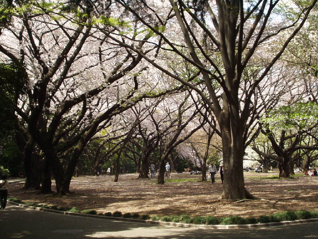 img0039.jpg